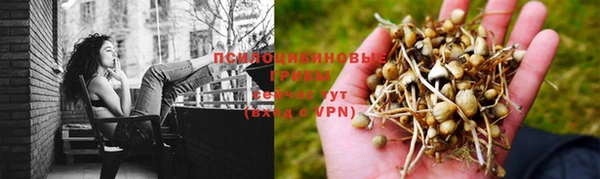 таблы Алексеевка
