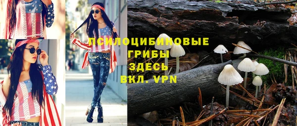 соль курить ск Алзамай