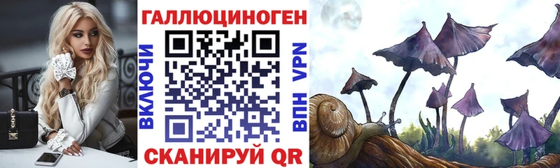 Галлюциногенные грибы Cubensis  Миасс 