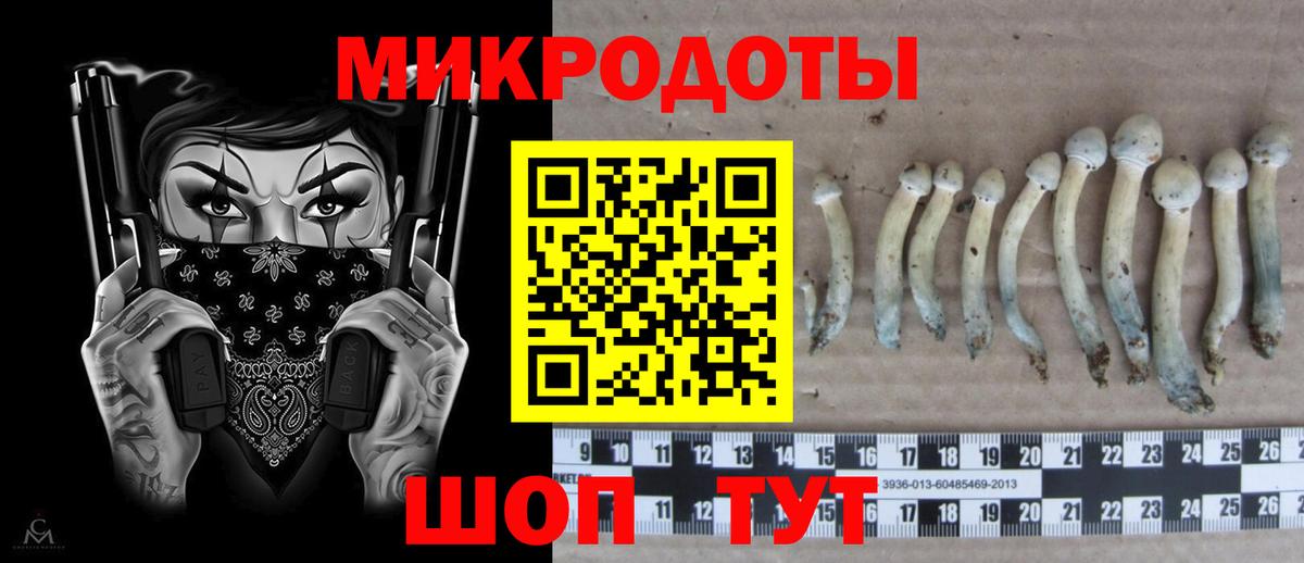 Псилоцибиновые грибы MAGIC MUSHROOMS  Вход с VPN  Миасс 