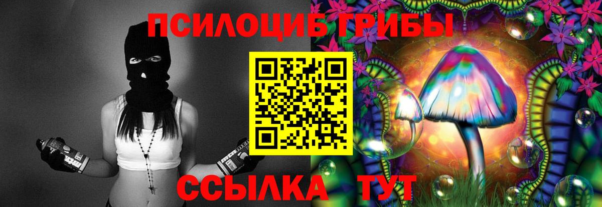 Галлюциногенные грибы GOLDEN TEACHER Миасс